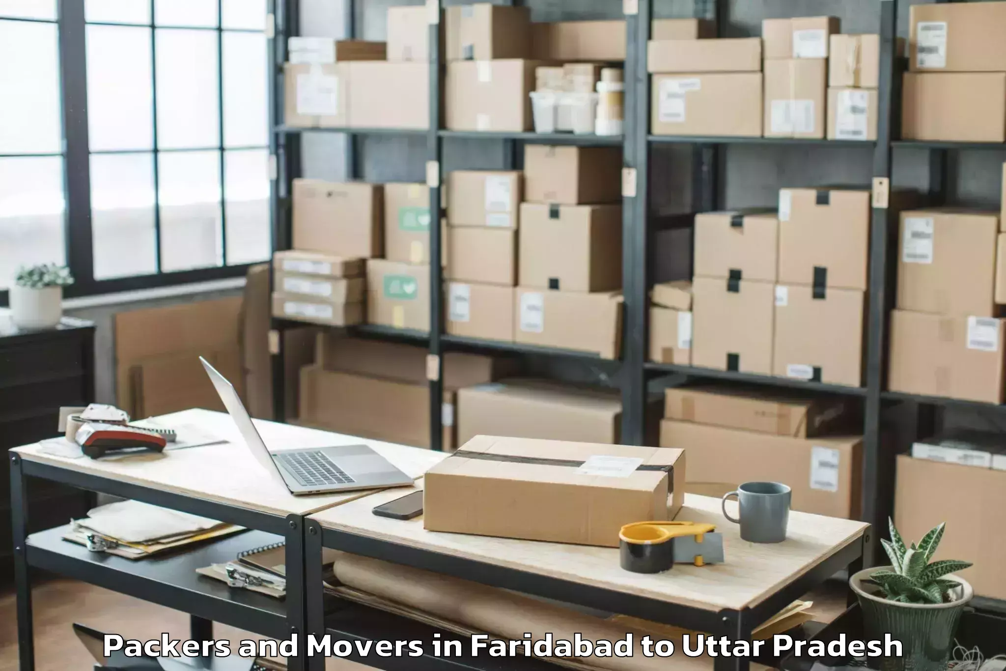 Professional Faridabad to Zamania Packers And Movers